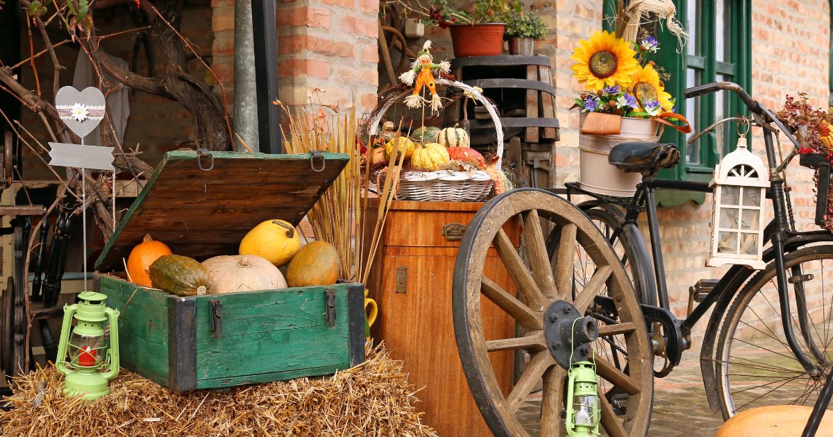 house clearance service